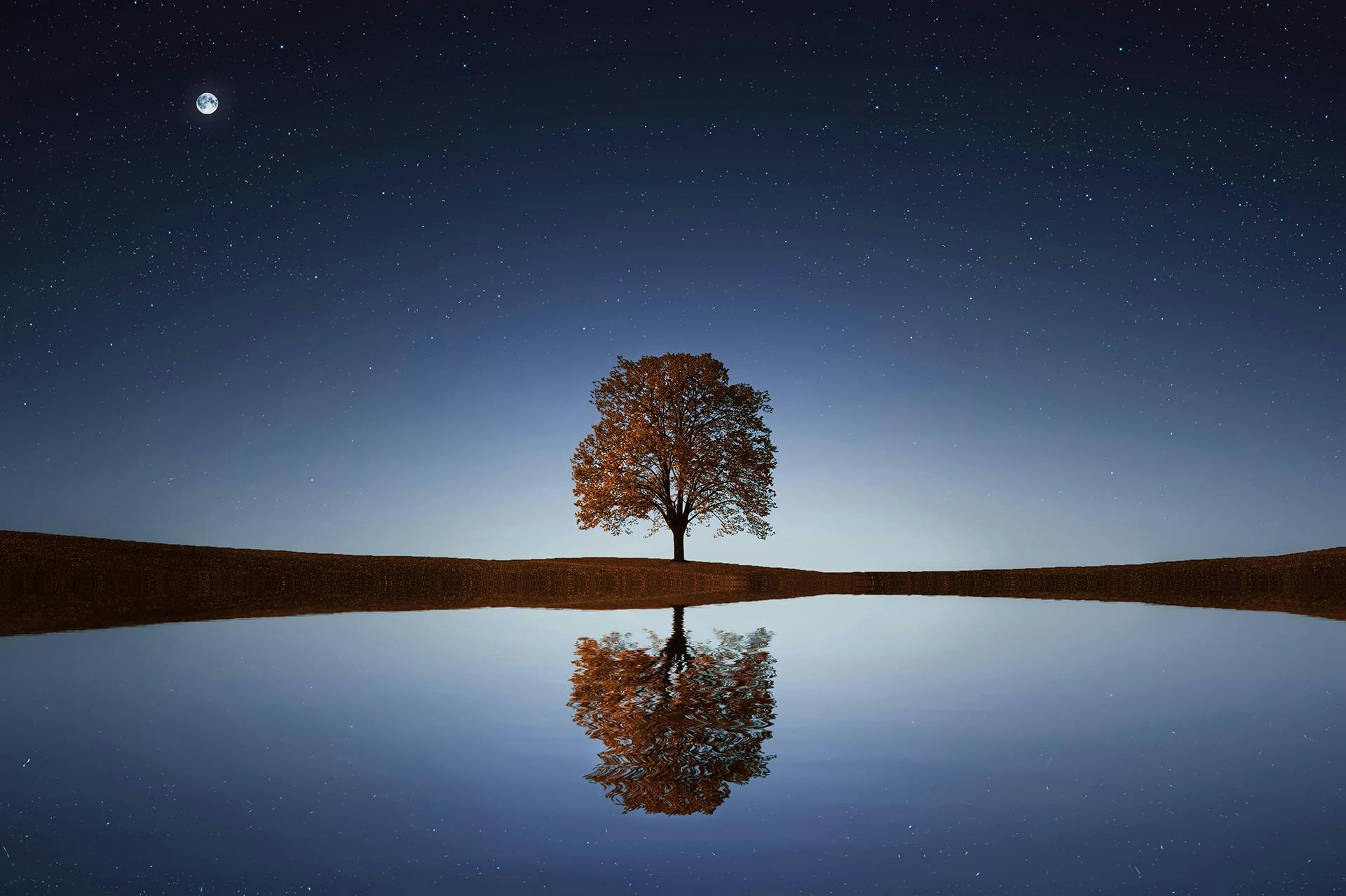 Remove blemishes from landscape photo