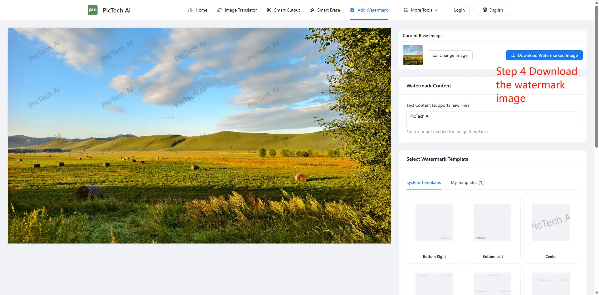 Step 4: Download the high-definition watermarked image for free